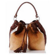 Clever Carriage Company